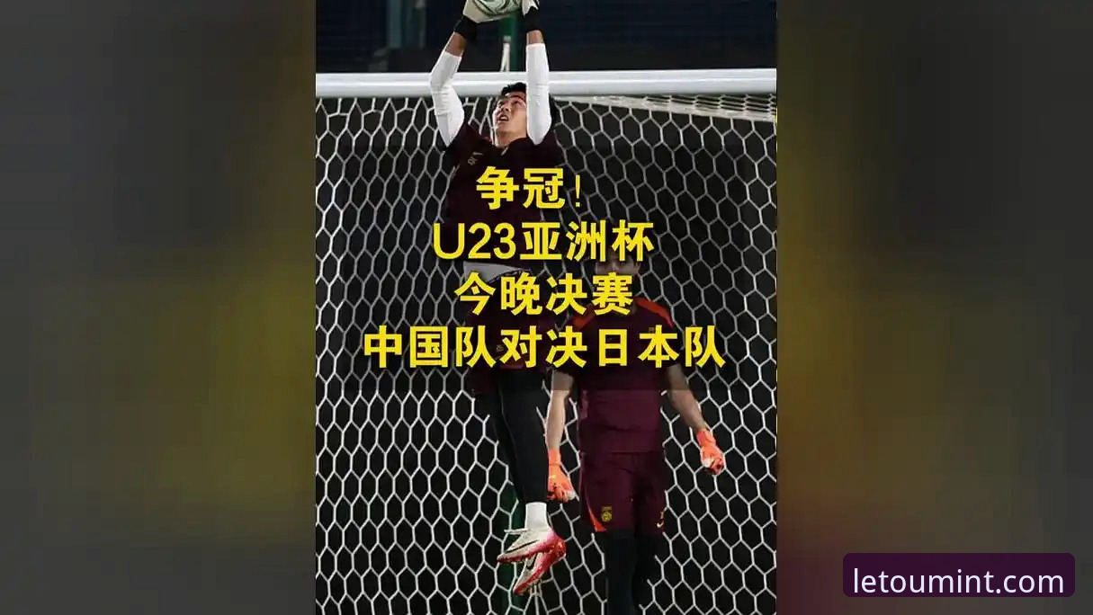 乐途体育正版下载不了怎么办 尤伯杯半决赛中国队3-0完胜日本队——Letou乐投平台赛事深度评测